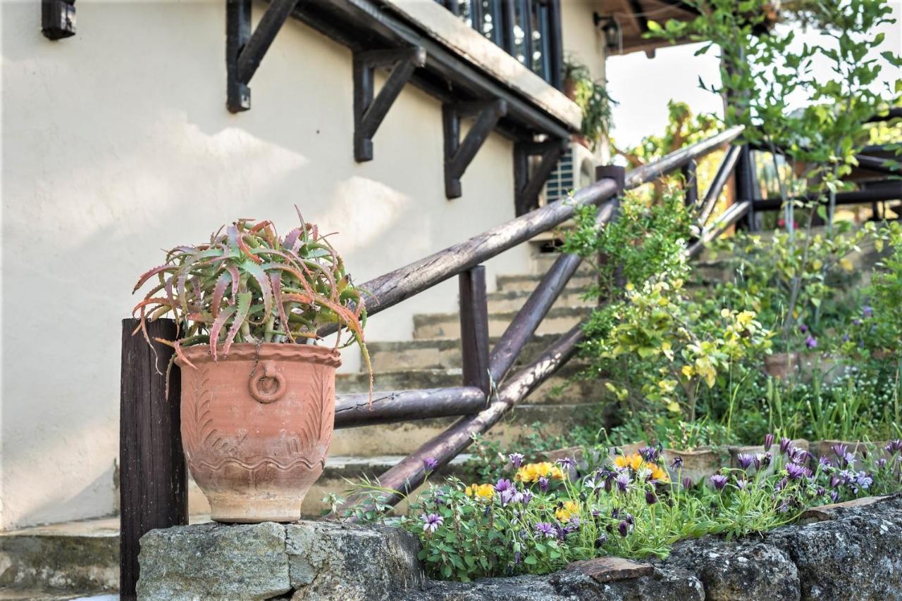 Ampelos Estate Akrata Exterior foto